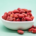 新しい作物良質の赤い皮のピーナッツ